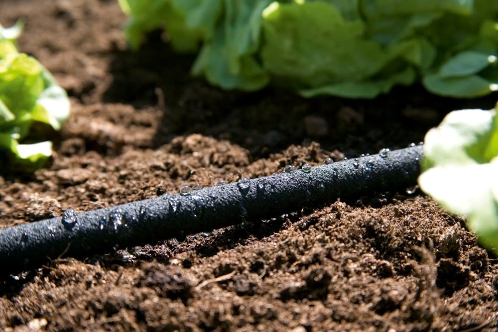 GARDENA Duizenddruppelslang 15m - Image 2